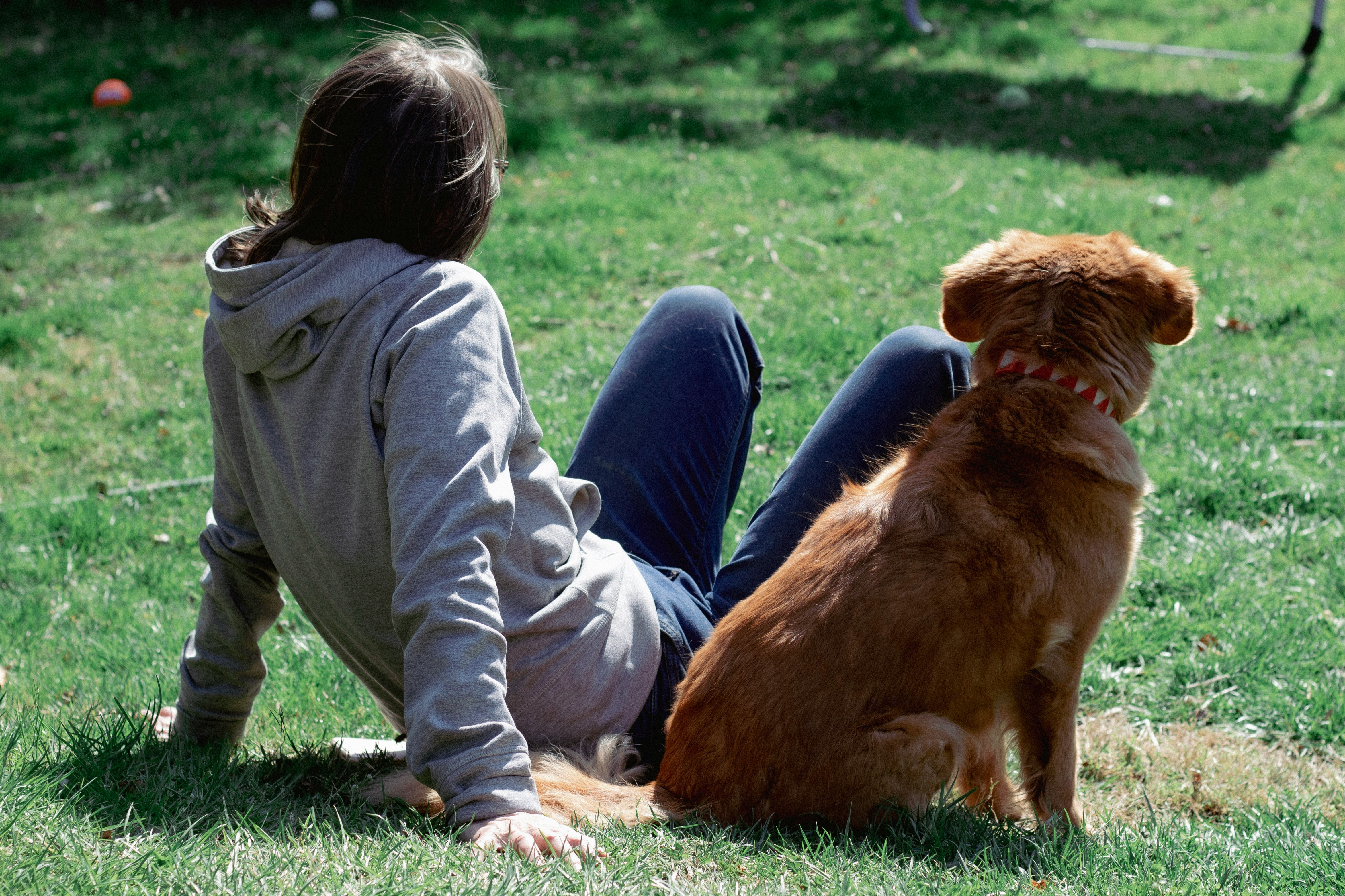 Dogsitter